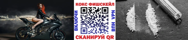 Купить закладки  Олонец  COCAIN Fish Scale 