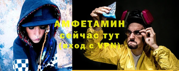шишки Бронницы