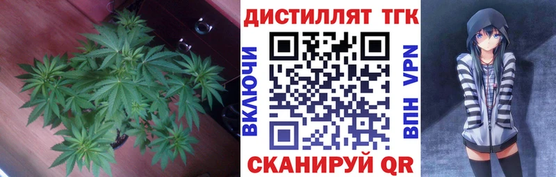 Дистиллят ТГК концентрат Олонец
