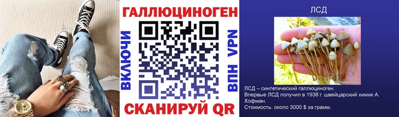 Псилоцибиновые грибы Psilocybine cubensis Олонец