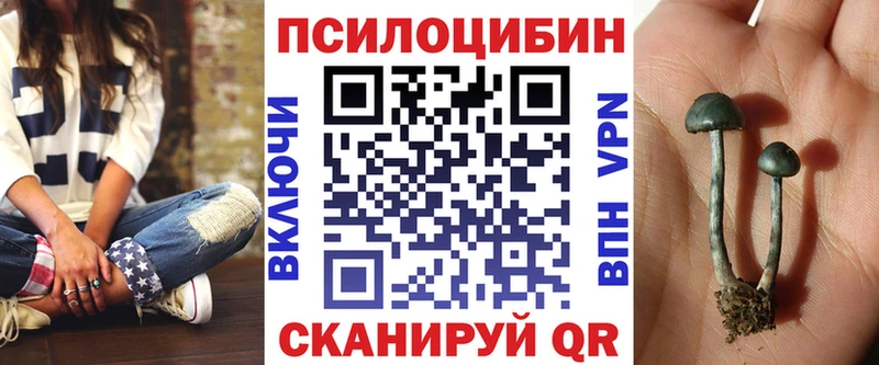 Купить  Олонец  Галлюциногенные грибы мицелий 