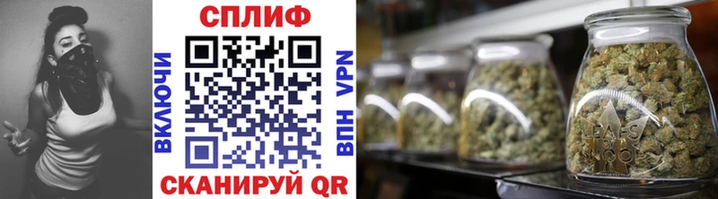 Каннабис конопля  Купить где  Олонец 